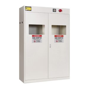 Gas Cylinder Storage Cabinet