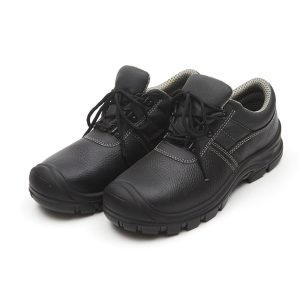 Low Cut Safety Shoes